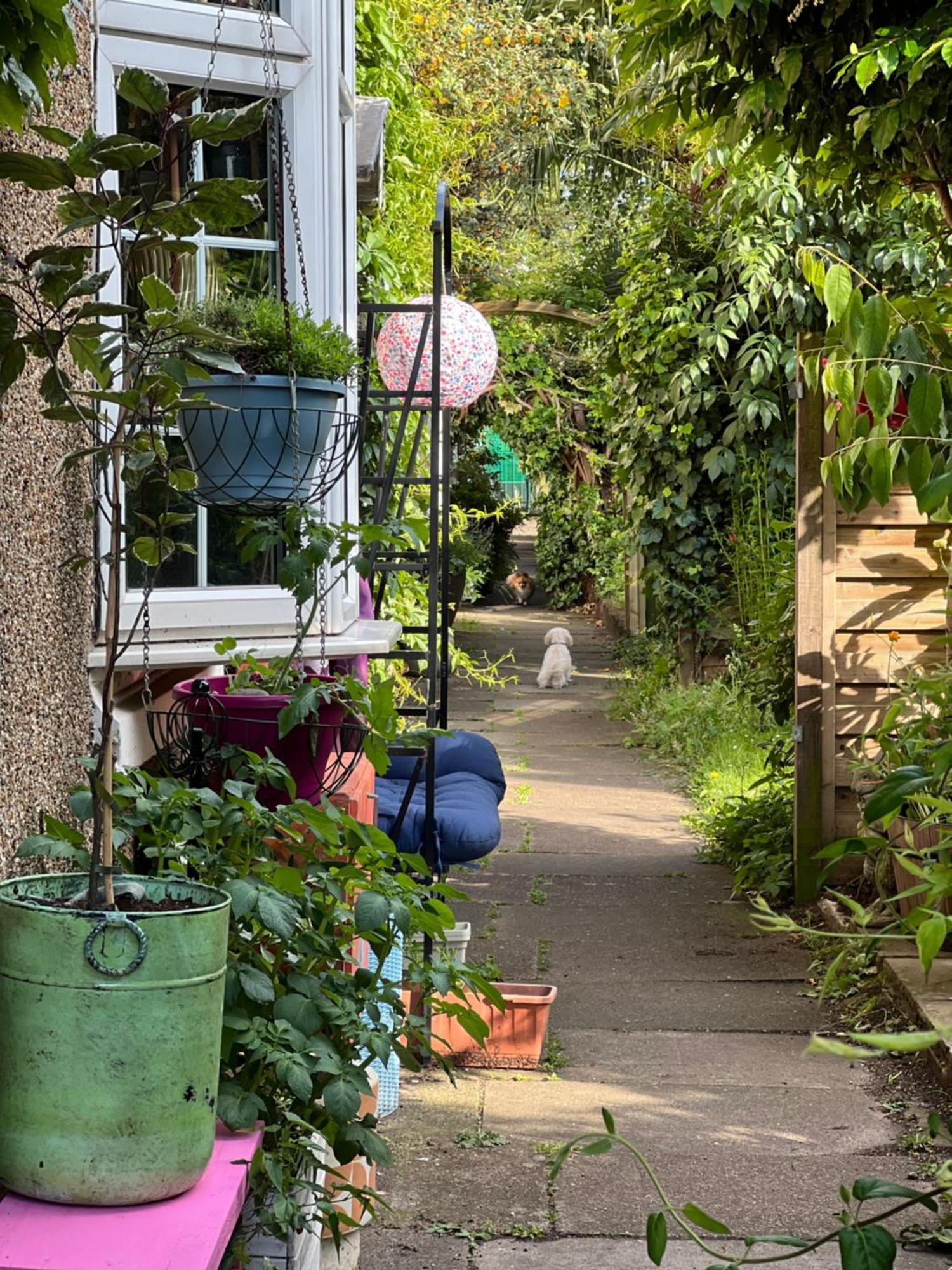 Unique Beautiful Peaceful Conservation Area - 20m To Town * Londra